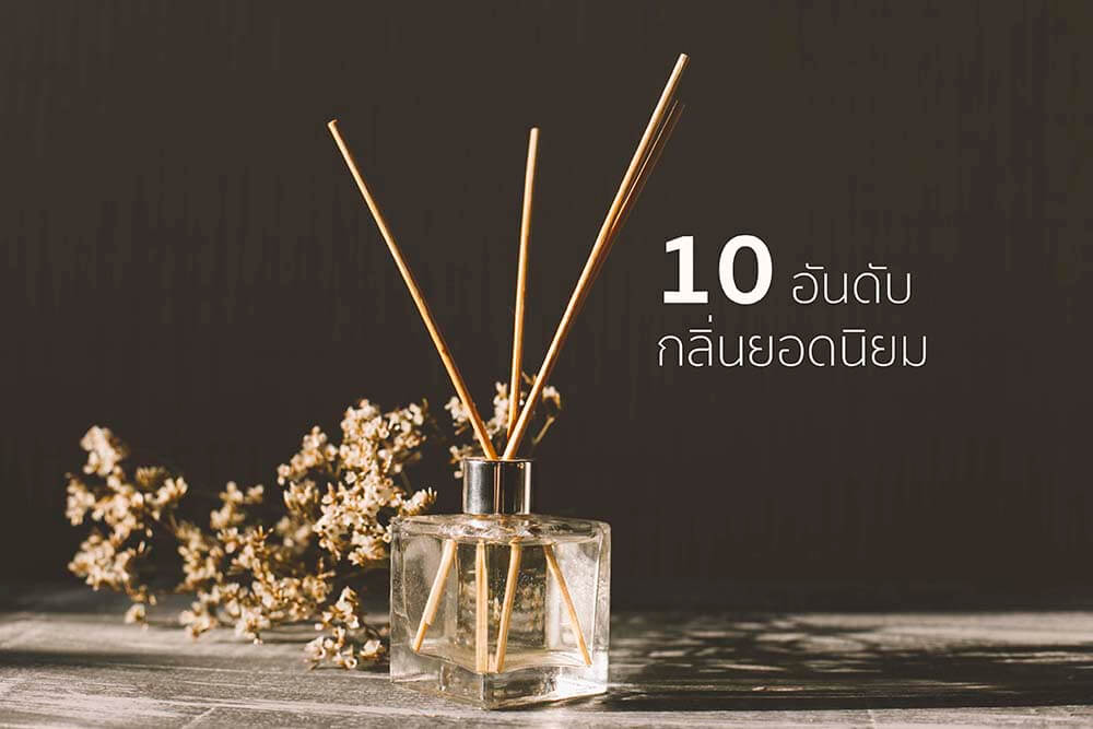 TOP 10 กลิ่นยอดนิยม สำหรับก้านไม้หอมปรับอากาศ