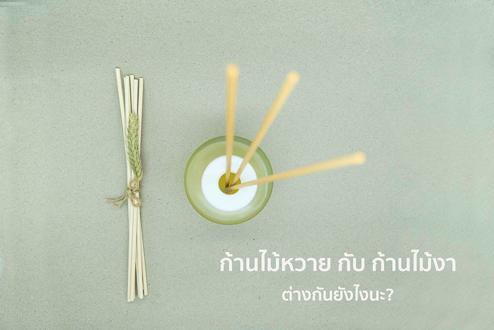 ก้านหวาย กับ ก้านไม้งา ต่างกันอย่างไรนะ