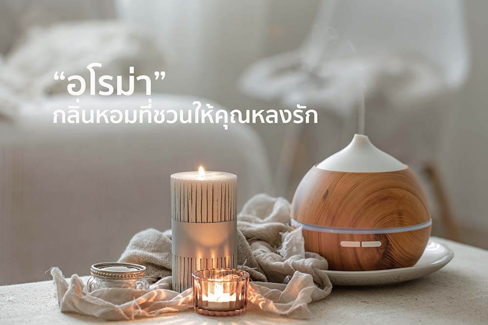 “อโรม่า” กลิ่นหอมที่ชวนให้คุณหลงรัก